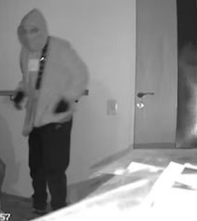  La “banda del millón”: entradera a una influencer de 82 años, 35 detenidos y una celda VIP