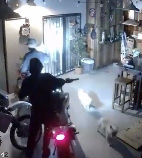 Rompieron la puerta del garage, intentaron meterse a la casa pero como no pudieron se llevaron tres motos