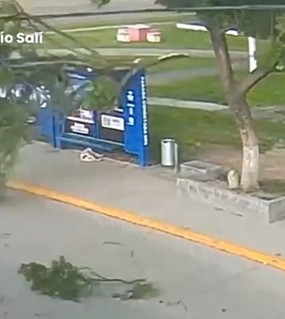 Esperaba el colectivo en medio de un temporal y casi lo aplasta una rama