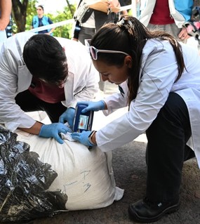 Descargaban mercadería y descubrieron 15 kilos de cocaína impregnada en chizitos, papas disecadas y quesos