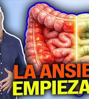 "La ansiedad es intestinal": descubren que el insomnio, los cambios de ánimo y los cuadros ansiosos surgen del "segundo cerebro"