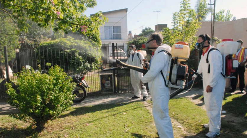 Dengue made in Morón