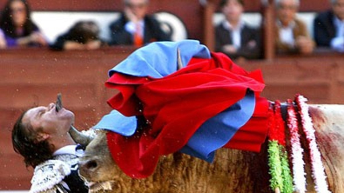 Un cuerno atraviesa la mandíbula de un torero