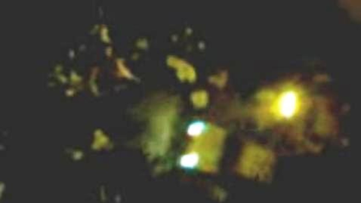 Quedó libre el joven que atropelló a 12 al salir del boliche Quedó libre el joven que atropelló a 12 al salir del boliche