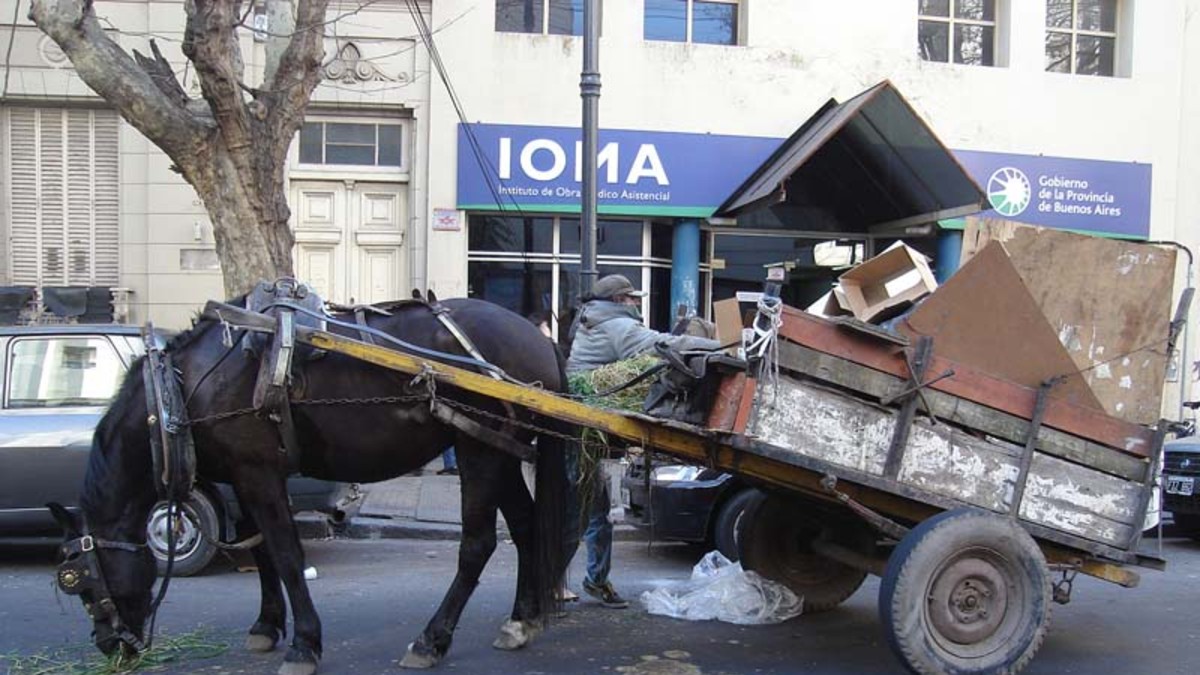 Quieren prohibir todos los carritos tirados por caballos