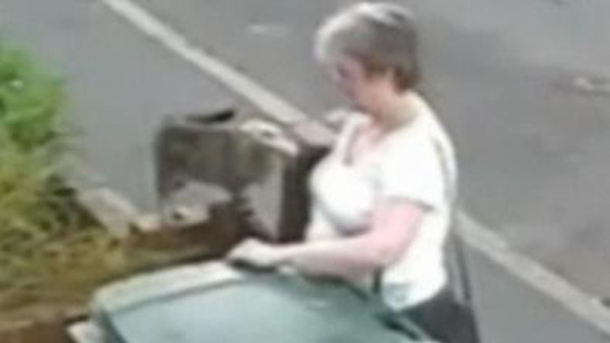 Una mujer tiró un gato a la basura y casi la linchan