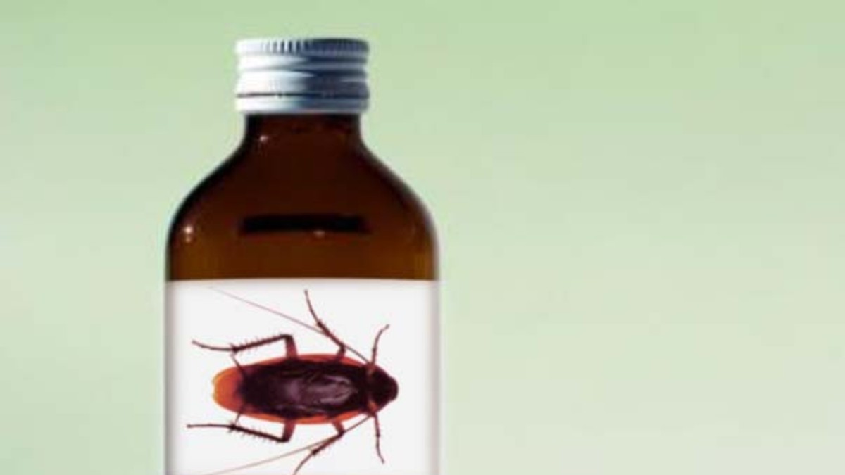 Pondrían cerebros de cucarachas en los antibióticos