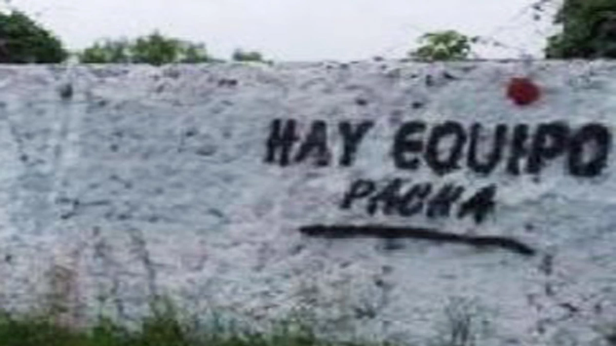 Cansados del graffiti: eligen paredones especiales para las pintadas políticas