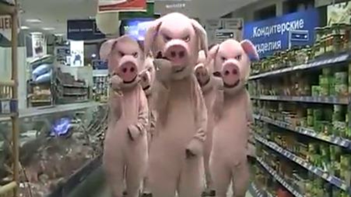 Chanchos invaden un súper que vende comida vencida