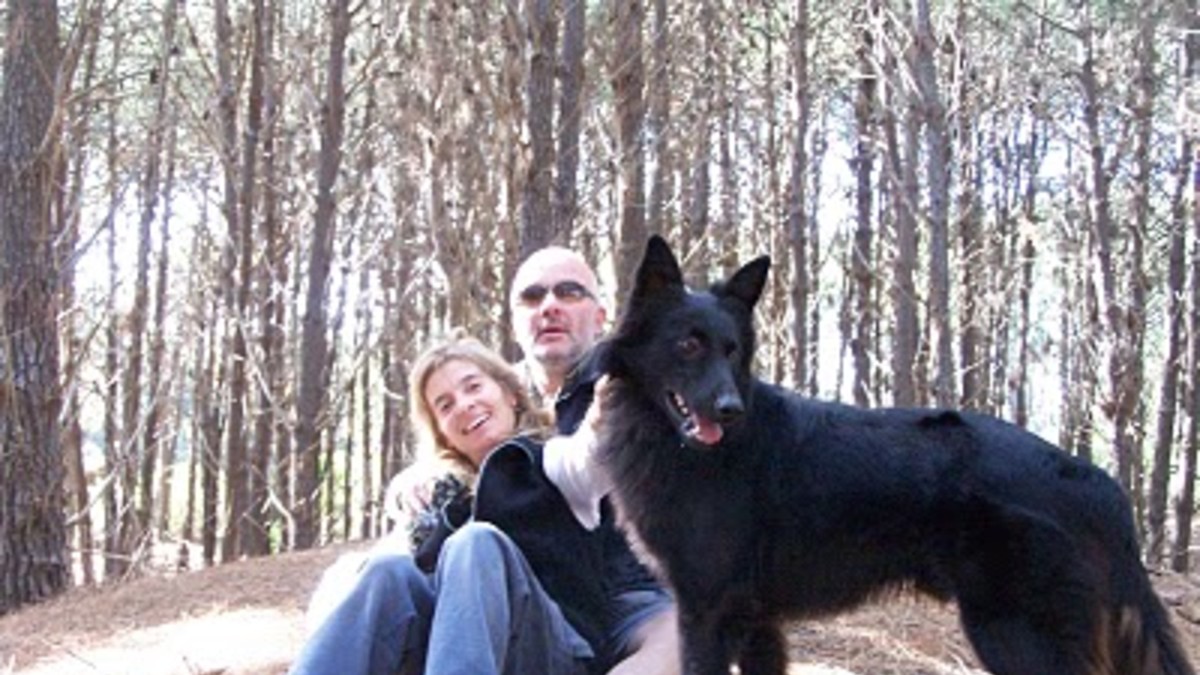 Cayó la envenenadora de perros y gatos que desató una masacre