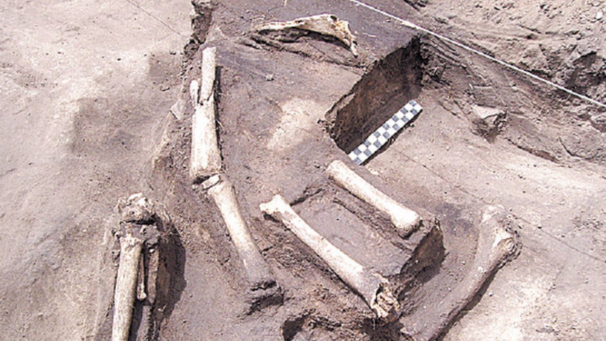 Hacían un country y encontraron una reserva arqueológica sin precedente