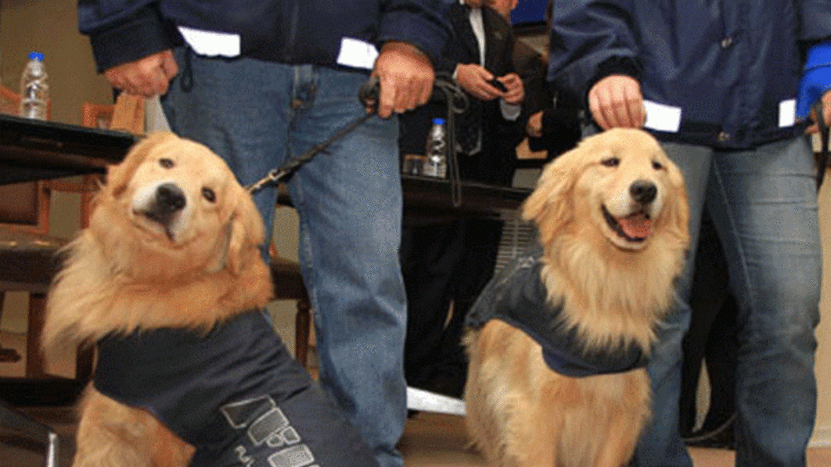 Los nuevos "sabuesos" de la AFIP rastrearán dólares Los nuevos "sabuesos" de la AFIP rastrearán dólares