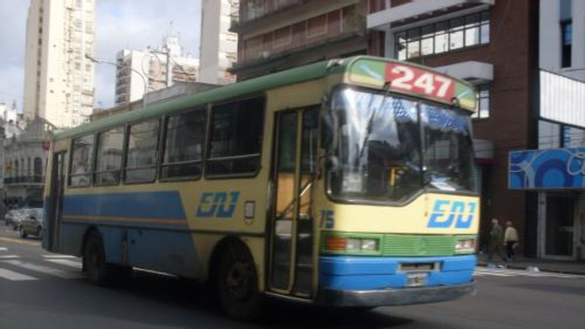 Un colectivo chocó con un auto y dio contra un árbol