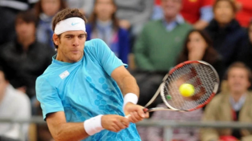 Del Potro volvió a ganar y está en cuartos de final