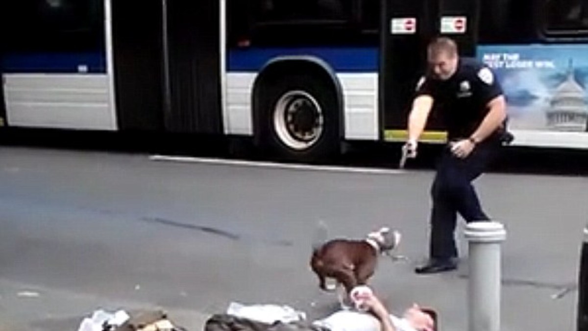 Mató a un perro a los tiros: ¿Defensa propia o abuso?