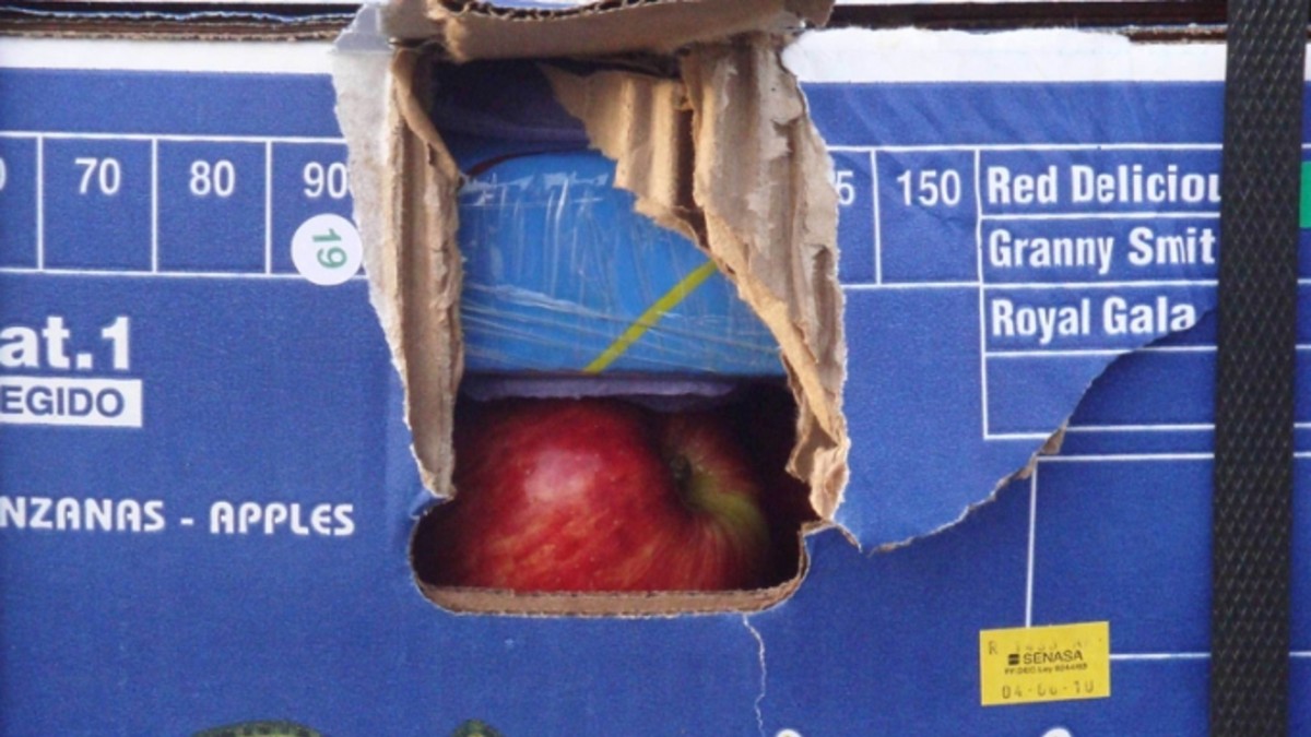 Se suspendió el juicio por el caso "manzanas blancas"