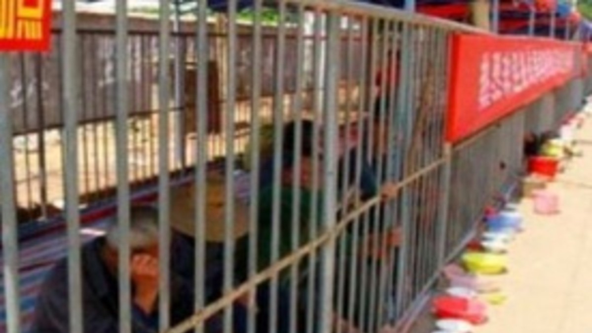 Horror: crean un zoo humano para los indigentes