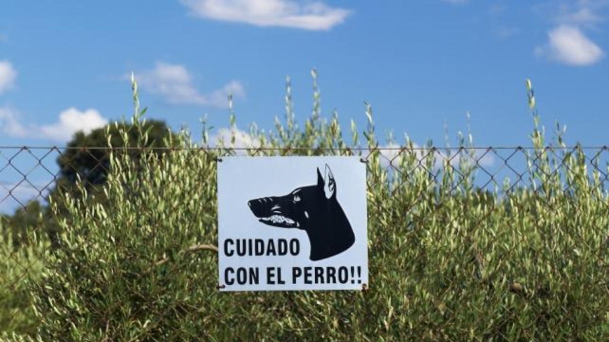 Ataques caninos: el peligro que desvela a los carteros