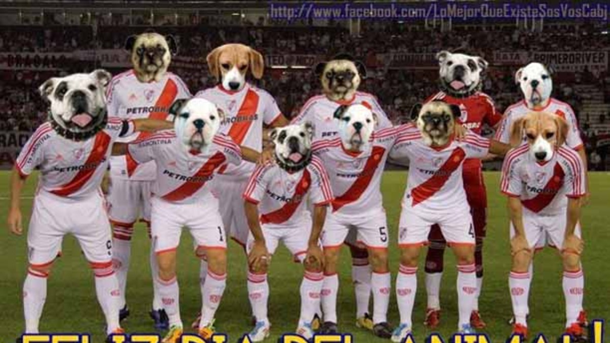 En el día del animal, la ligaron todos los futbolistas