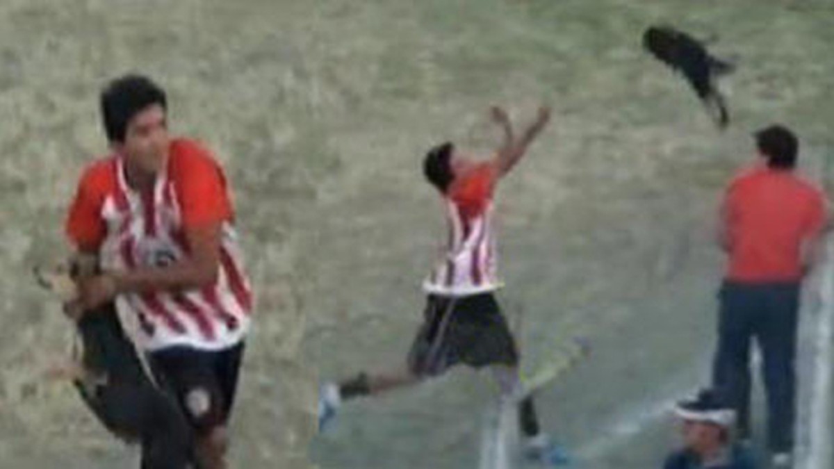 La excusa del jugador que tiró al perro a la tribuna