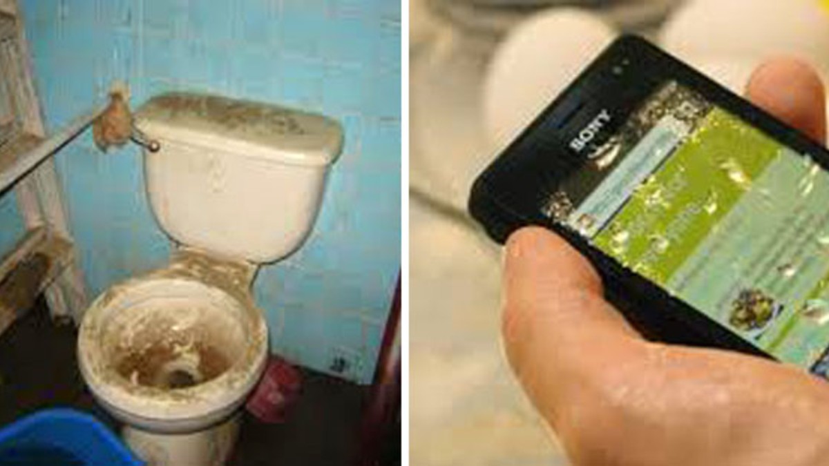 Informe revelador: ¿Qué tiene más bacterias, un celular o un inodoro?