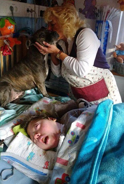 Perro cuida a nene desde que nació pero quieren separarlos