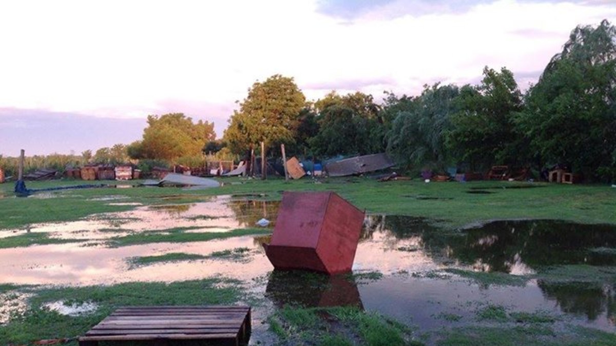 El temporal destrozó el refugio de animales El Campito