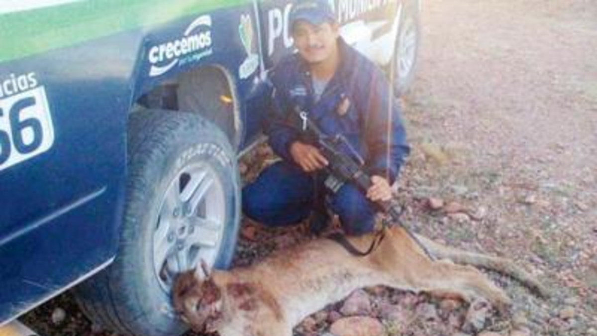 Policía mató a un puma y subió la foto a Facebook
