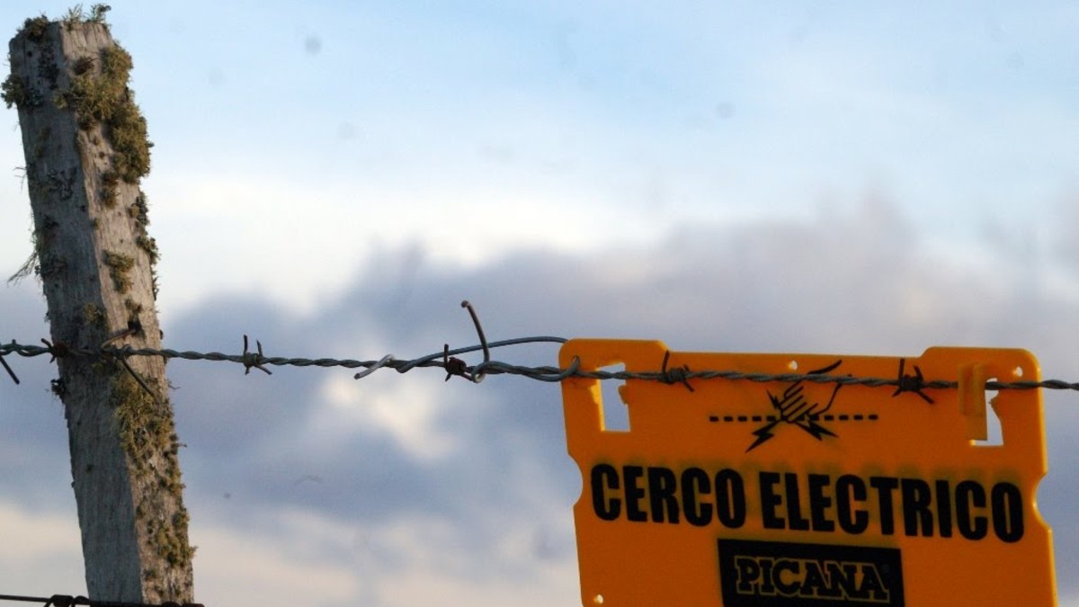 Electrificó su campo y mató a un "cazador de ranas"