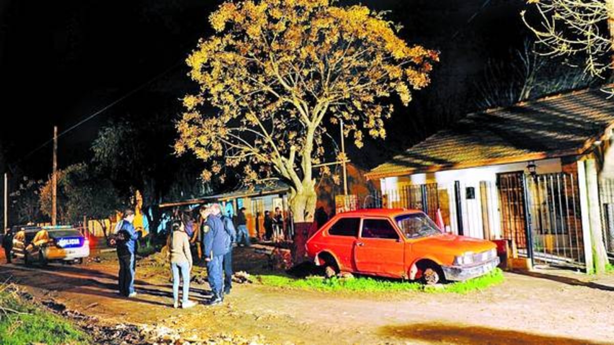 Detuvieron al dueño del pitbull que mató a mordiscos a un nene