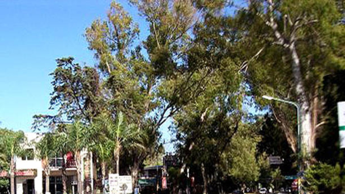 Quieren cerrar Parque Leloir con maceteros para evitar robos