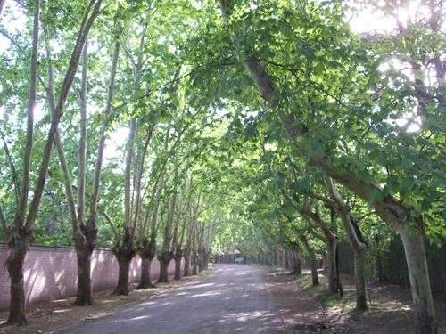 Quieren cerrar Parque Leloir con maceteros para evitar robos