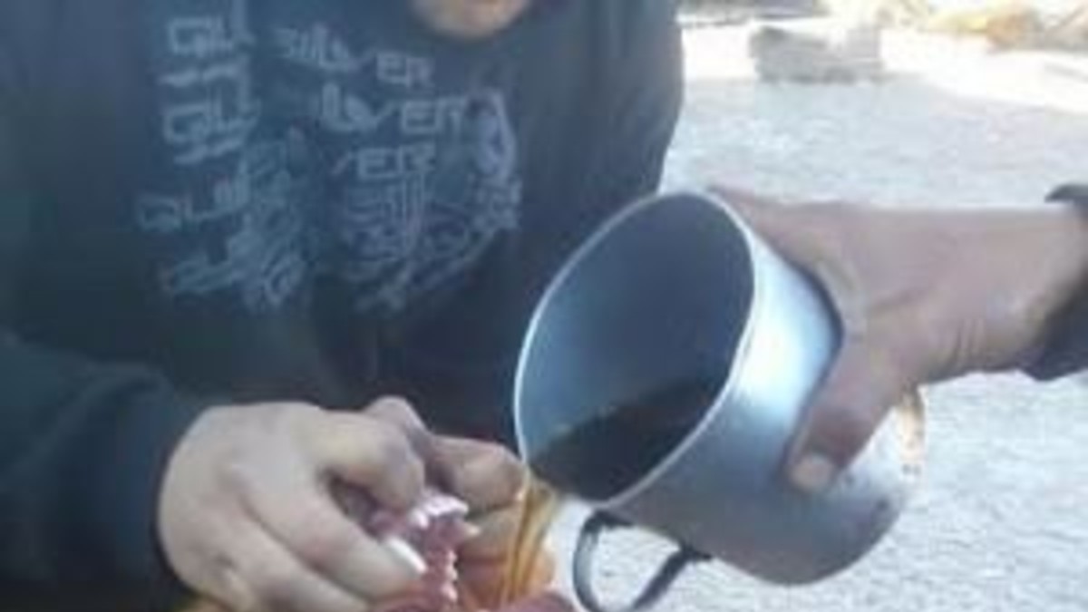Emborracharon a un perro, lo violaron y lo subieron a Facebook
