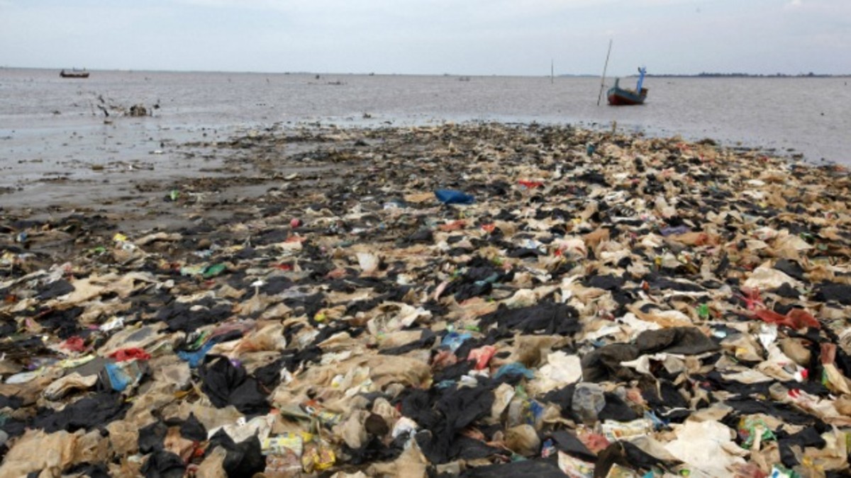 Inquietante: ¿Sabés cuánta basura hay en el agua?