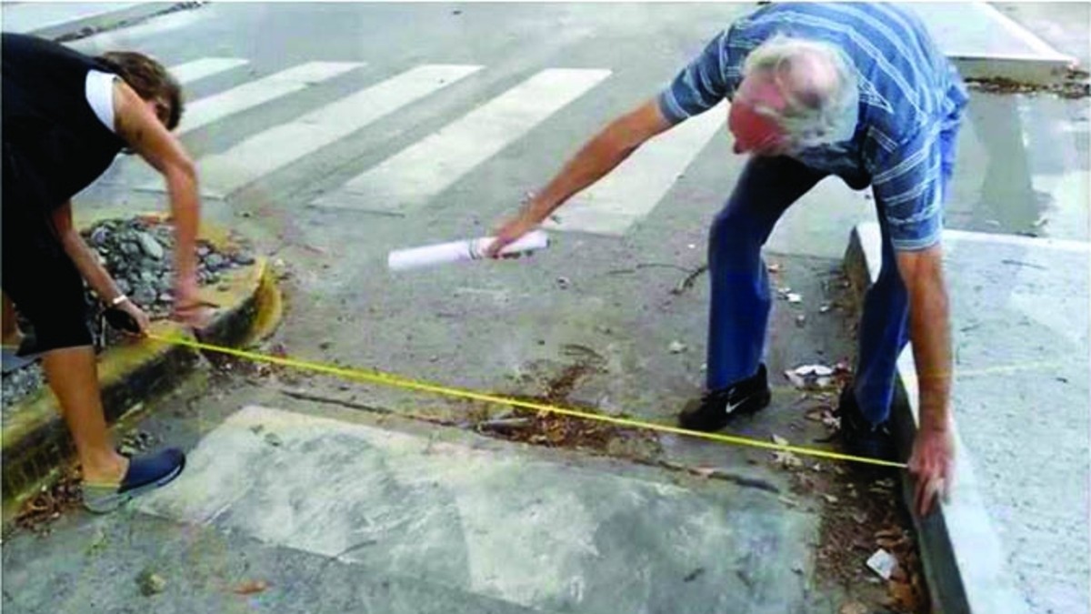 Metrobus: ¿los colectivos no entran en las plataformas?