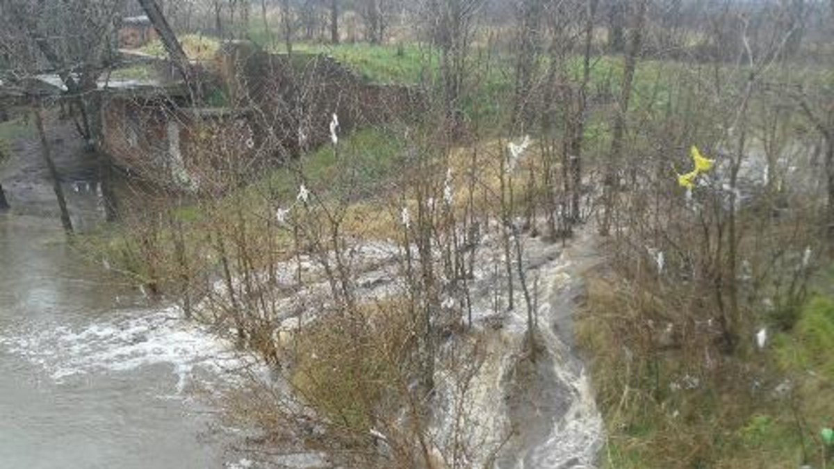 Alerta en Luján: por las lluvias, desbordó el río