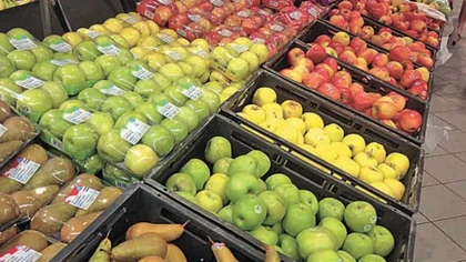 Cómo es el plan del gobierno para controlar el precio de frutas y verduras
