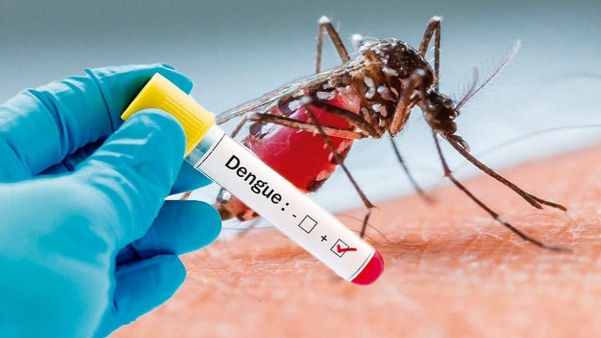La Provincia de Buenos Aires ya atiende teleconsultas sobre dengue