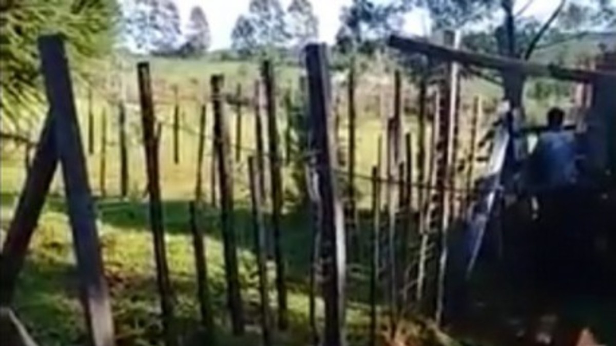 Lo filmaron teniendo sexo con la vaca del vecino