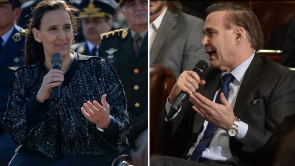 Pichetto y Michetti a los gritos en medio del Senado