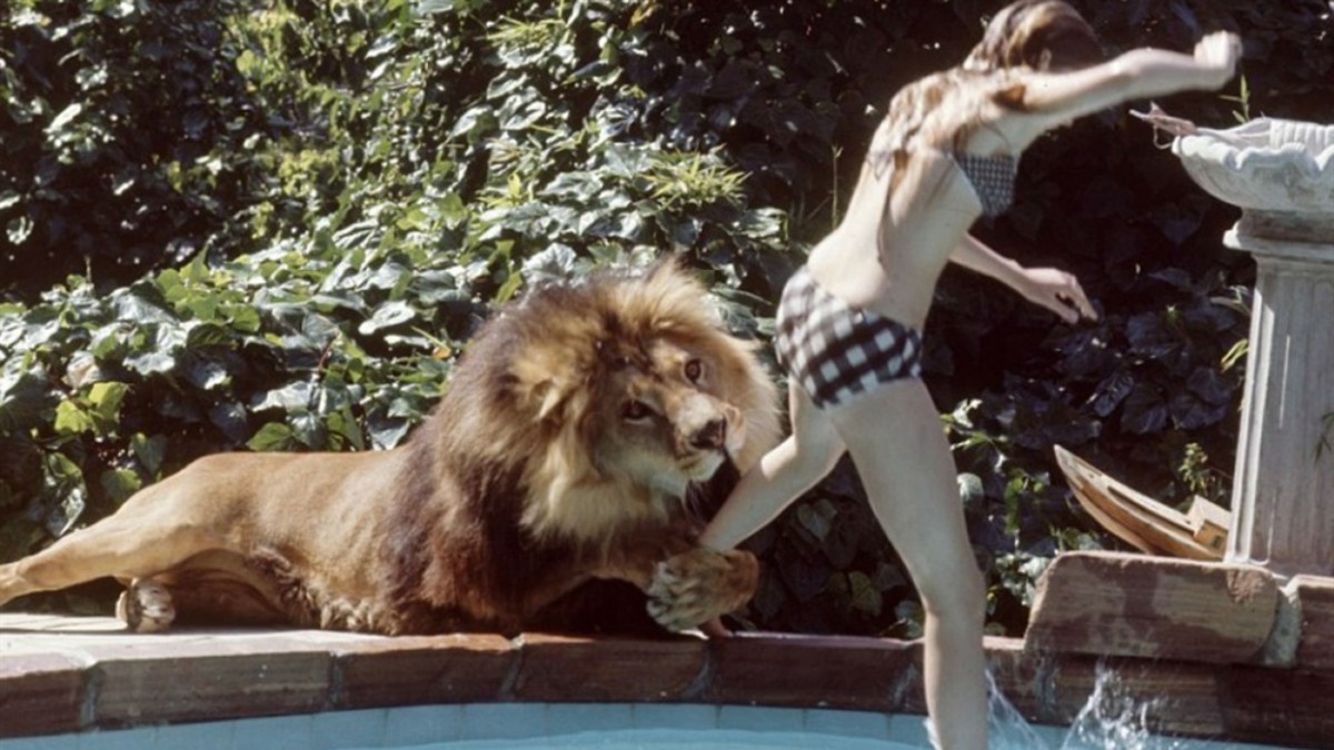 Roar, la película mas peligrosa de la historia