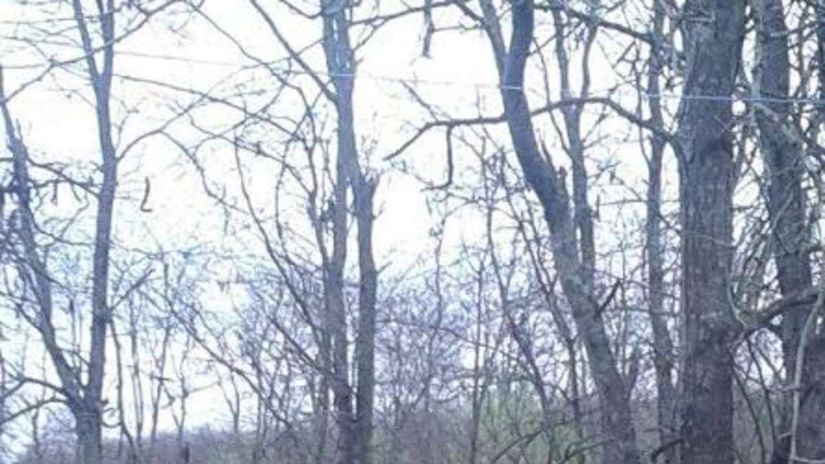 Vivir en La Palangana, con el barro hasta el cuello Vivir en La Palangana, con el barro hasta el cuello