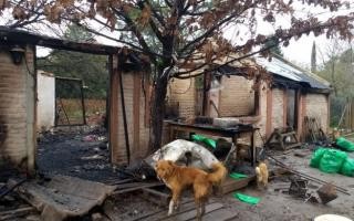 Se incendió un refugio y murieron 50 perros- Se incendió un refugio y murieron 50 perros
