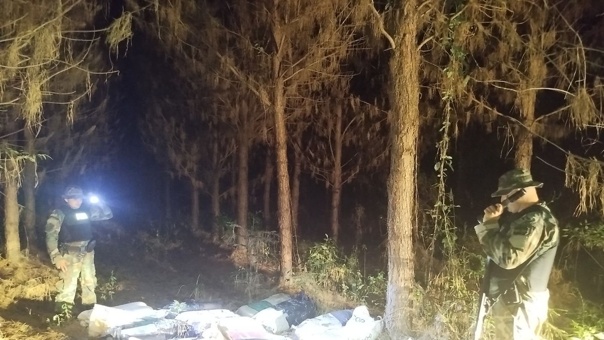 Delincuentes narco abandonaron su ruta y más de 174 kilos de marihuana en el medio del camino