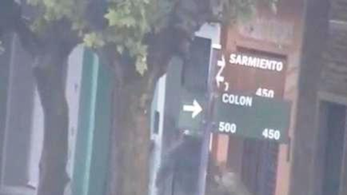 La pitbull se comió a sus crías y él la molió a golpes