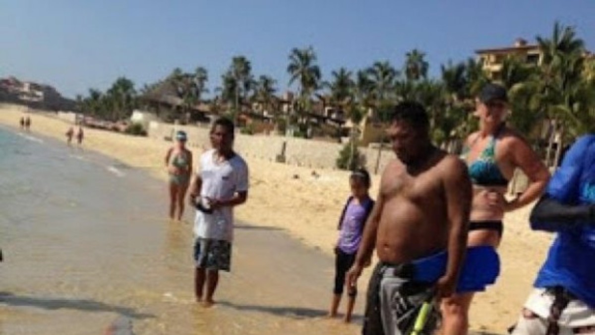 Un largo monstruo marino los sorprendió en la playa
