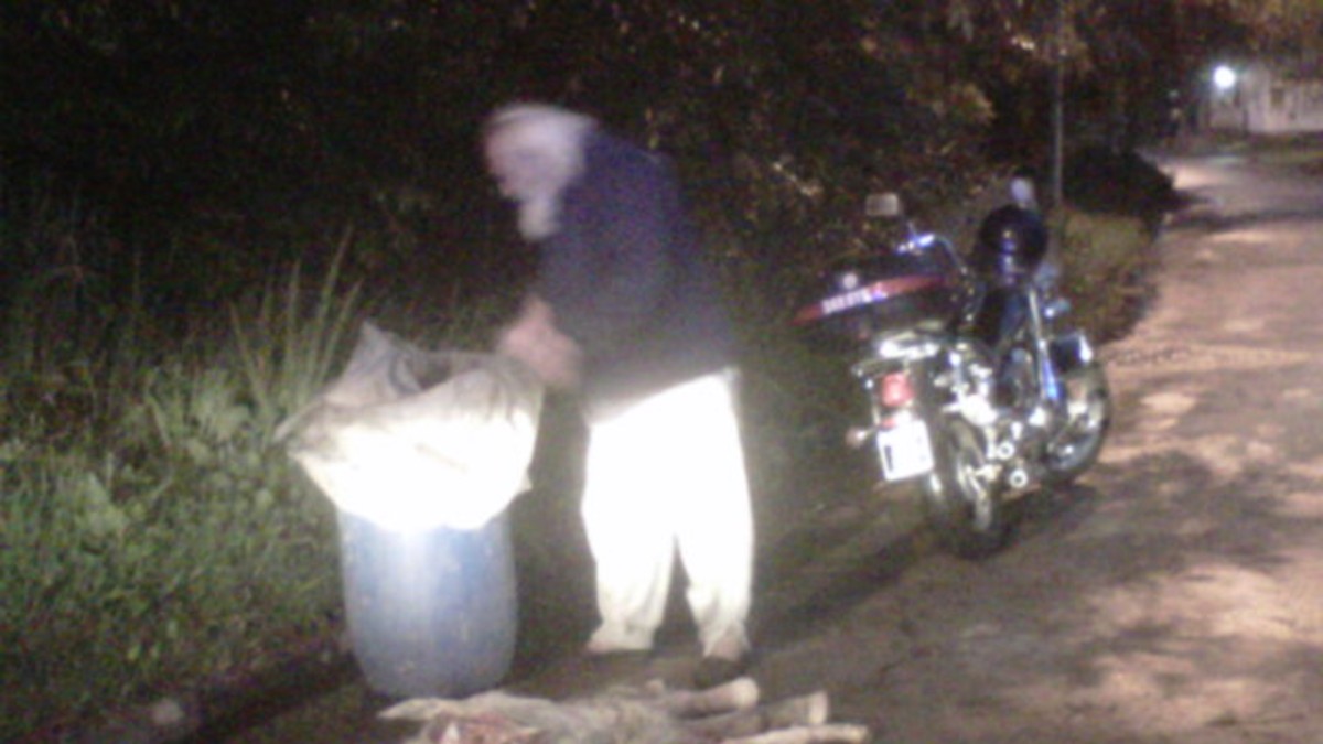 Macabro: hallan un caballo descuartizado en un tambor