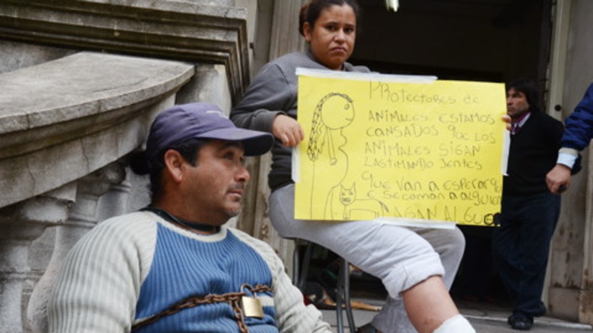 Se encadenó porque un perro mordió a su mujer