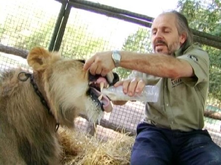 Denuncian al dueño del Zoo de Luján por atacar a inspectores municipales