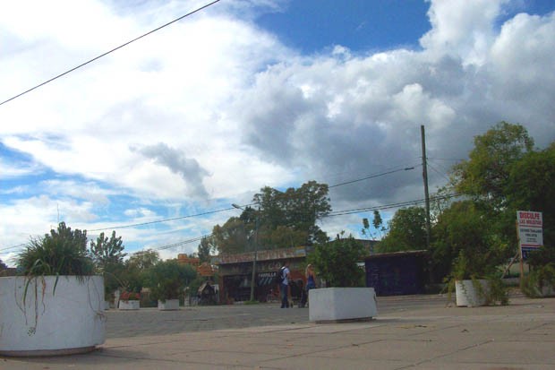 Traen monos sedados y los venden en una parrilla